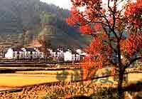 婺源紫阳民居的历史发展是怎样的？江苏周庄建筑简介