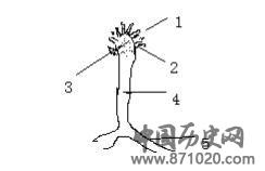 白酒中的微生物知识-酒知识,酒文化,酒品评,酒友家园!-闻酒知香