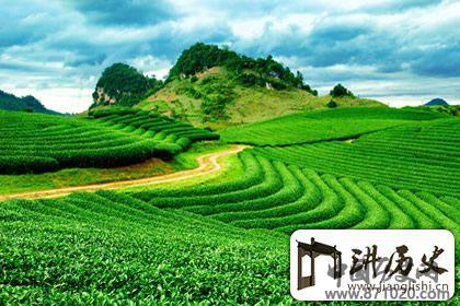 营养师提示：春季养生饮食原则有哪些