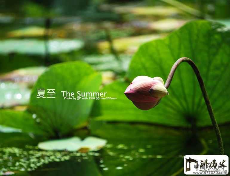 夏至快到，夏至吃什么好