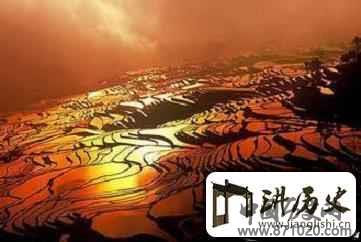哈尼族梯田文化哈尼族的梯田有何历史