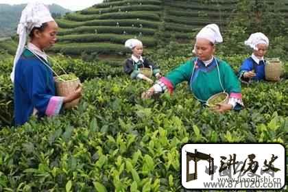 布依族茶文化布依族的茶文化有什么特点