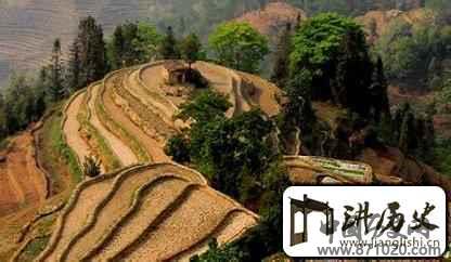 哈尼族的梯田文化有什么样的民族特色