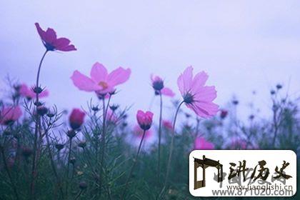 佛说爱情十种境界，莫要因爱生恨