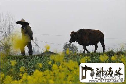 陶醉其中，清明节气图片欣赏