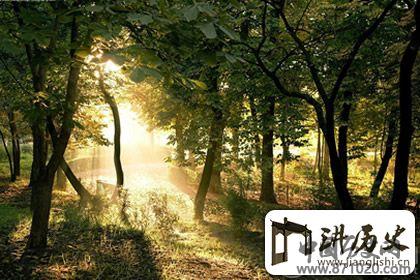 佛说爱情是一种宿命，是无怨无悔
