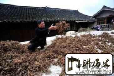 苗族早期的医药活动为何会与巫术相结合