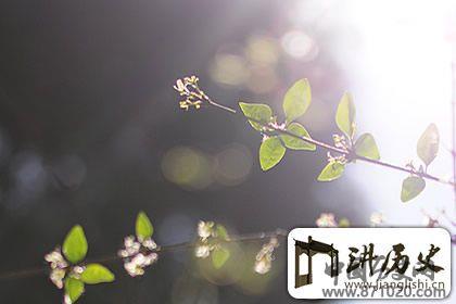 立夏是哪一天，2018年立夏时间