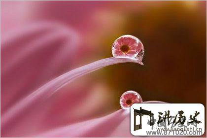 四时八节有几个节日？四时八节指哪些节日