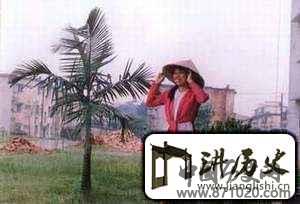 京族