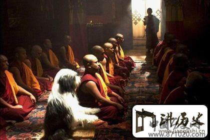 佛教教义的核心理念是什么