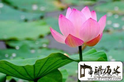 华严经名句经典，佛教说不忘初心